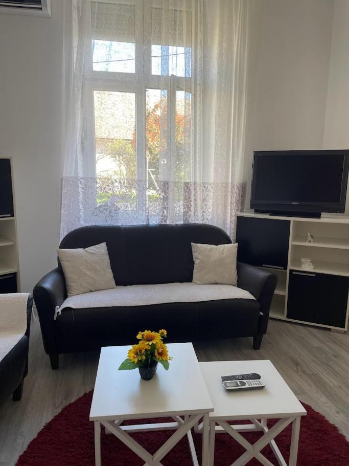 Apartment Milijana Σουμπότικα Εξωτερικό φωτογραφία