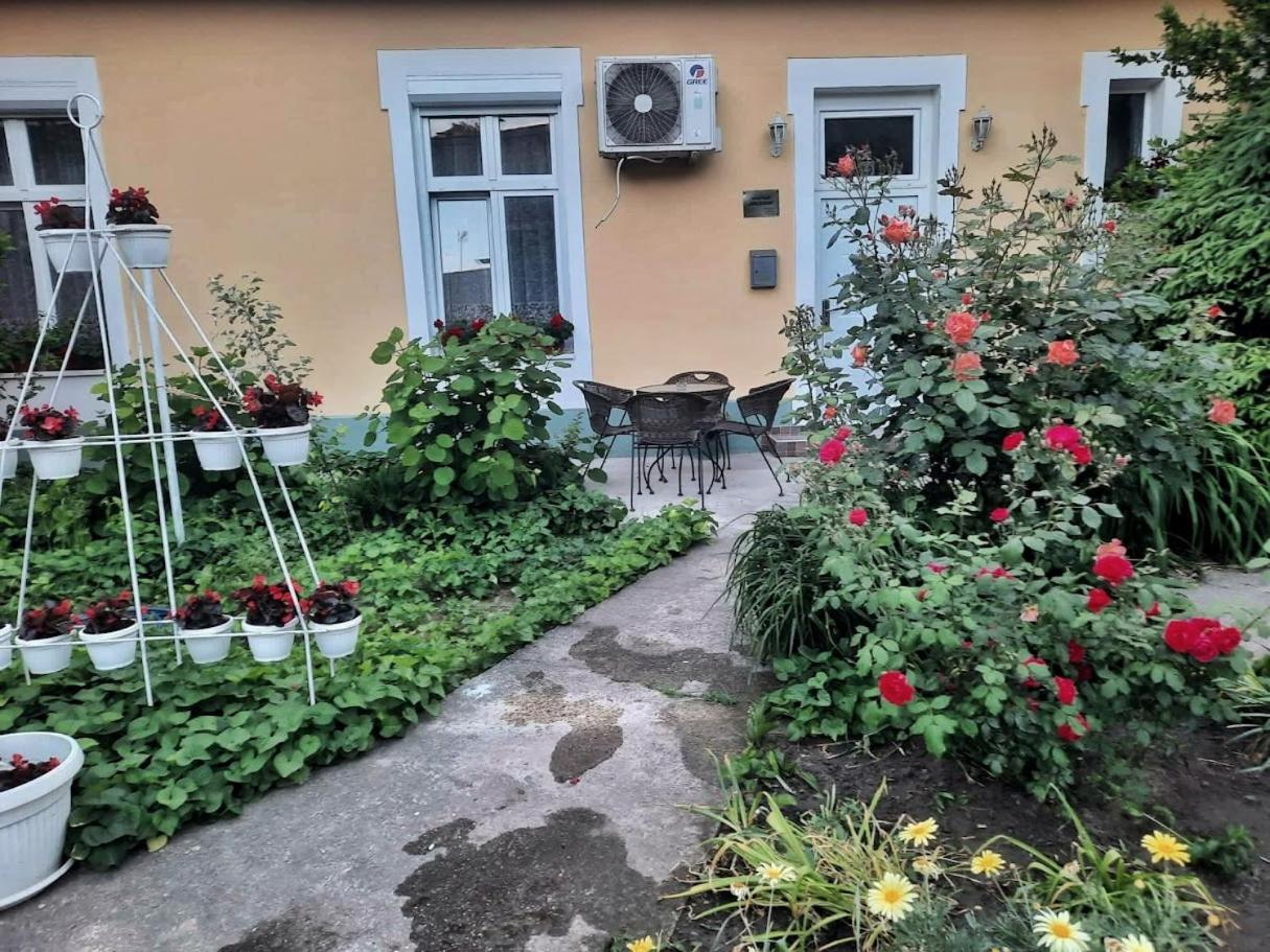 Apartment Milijana Σουμπότικα Εξωτερικό φωτογραφία